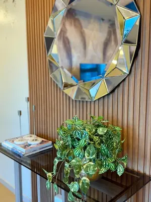 a mirror on a wall with a plant on a table at Palms Paradise with the best view of BGC plus Netflix in Manila