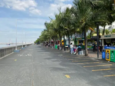 a row of palm trees on the side of a beach at 2mins to Okada near Airport & MOA with Balcony-8E in Manila