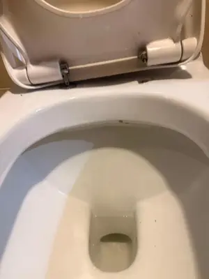 a white toilet with a white toilet seat at Mosaic Tower in Manila