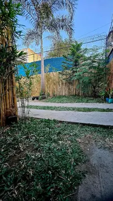 a yard with a fence and a palm tree at Natural Haven with Netflix Kubo Videoke & Alfresco Dining in Dasmariñas