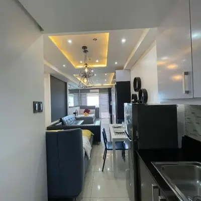 1553 Moa view bigcut