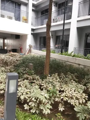 a pile of plants in front of a building at Shore2 tower2 in Manila