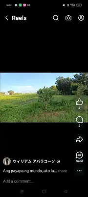 a screenshot of a cell phone with a picture of a field at Cess in Manila