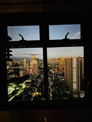 a view of a city from a window with birds at Relaxation Getaway in Manila