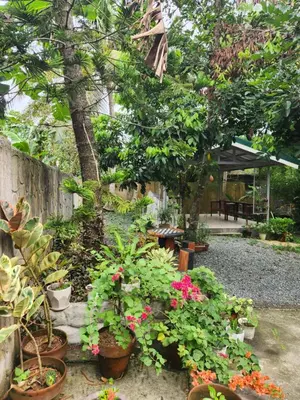 a garden with lots of potted plants and flowers at Sotera and Paz Forestville in Silang