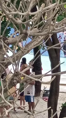 a group of people standing around a tree on the beach at Joy Azure Escapes in Manila