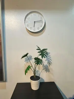 a clock on a wall with a plant on a table at 1BR Condotel in Azure Urban Resort near NAIA #TRO1 in Manila