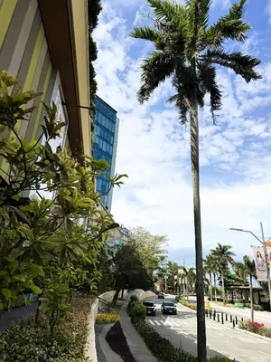 a palm tree on the side of a street at JFam Suites, C4-10R Studio, Up To 4 Pax in Biñan