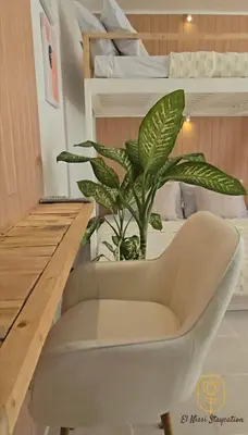 a chair and a plant in a room with bunk beds at El Nissi Staycation, THE BARIQUIT SUITE, Enchanted Kingdom in Santa Rosa
