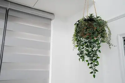 a potted plant hanging from a wall next to a door at Blue Horizon - Newly renovated condo near MOA in Manila