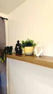 a shelf with two statues and a plant on it at 1BR with Netflix, Prime & KTV in Manila