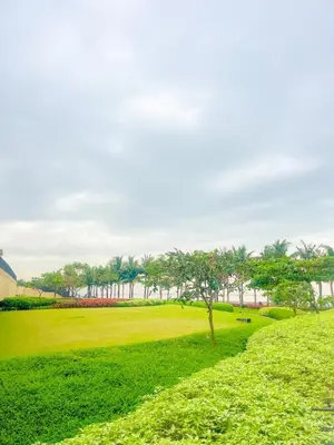 a park with a tree in the middle of a field at Luxurious 2BR near Solaire, Okada, Airport in Manila