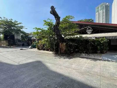 a tree sitting on the side of a street at Nikki's cozy home makati in Manila