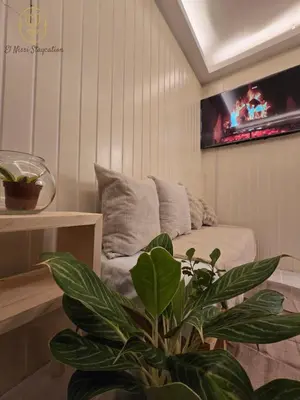 a living room with a couch and a plant at El Nissi Staycation, The Farmhouse Suite, Enchanted Kingdom in Santa Rosa