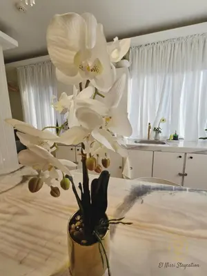 a vase filled with white flowers on a table at El Nissi Staycation, The Farmhouse Suite, Enchanted Kingdom in Santa Rosa