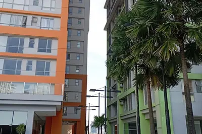 a palm tree in front of some tall buildings at Cozy Condo near BGC and Ortigas with free Gym & Pool in Manila