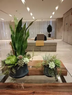a lobby with two potted plants on a table at Apartment in Pasay, close to Mall Of Asia in Manila