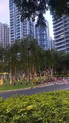 a street with trees and cones in a park with tall buildings at BGC Condominium Near St Luke Fort Bonifacio Taguig in Manila