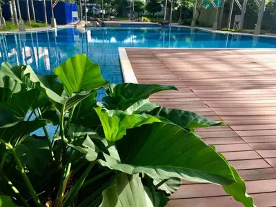 a large green plant next to a swimming pool at Condo Free Pool Fast Wi-fi near BGC, C5 in Manila