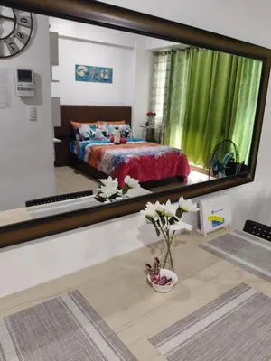 a large mirror in a bedroom with a bed in it at LDN Two Palm Tree Newport Home in Manila