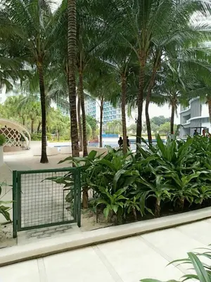 a park with palm trees and a green fence at azure beach front view in Manila
