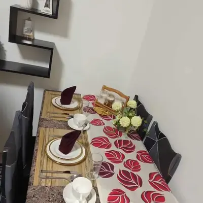 241-1br -1bed 1 extra mattress