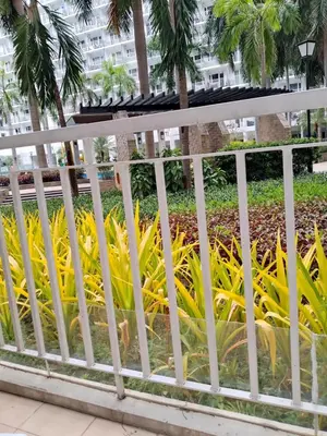 a white fence in front of a park with yellow plants at 101-2Br-1bed quenn-1single-1-pullout 2 sofa 2-cr pool view with balcony in Manila