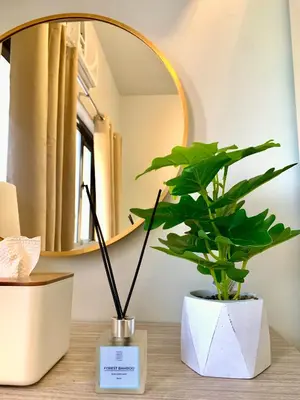 a mirror and a potted plant on a table at Amari Staycation - Alabang in Manila
