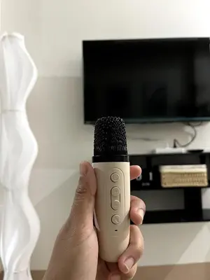 a person holding a microphone in front of a tv at Cozy Minimalist Condo unit in Manila