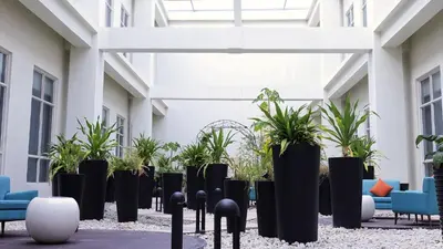 a row of potted plants in a building at Private Rooms in Historic Manila Chinatown in Manila