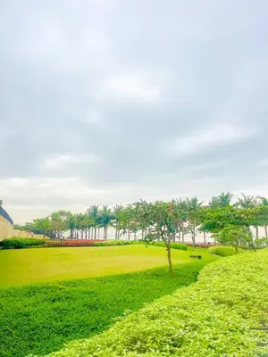 a park with a tree in the middle of a field at Sophisticated City Escape Steps from Solaire & City of Dreams in Manila