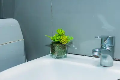 a potted plant sitting on top of a bathroom sink at Makati Bliss Designer Stay Pool gym park Net300 makati 1767 in Manila