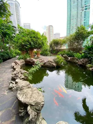 a koi pond in a city with tall buildings at Aveline Suites Riverline in Manila