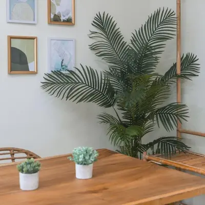 a wooden table with two potted plants on it at Julias Tropical Oasis Golf Skyline View in Manila