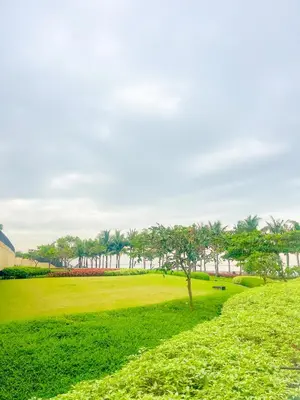 a park with a tree in the middle of a field at Luxury and Modern 1 Bedroom near Solaire, Okada in Manila
