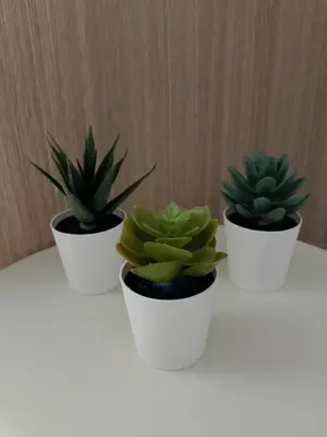 three potted plants sitting on top of a table at Staycation near MOA, Airport in Manila