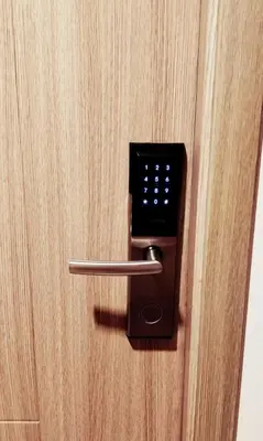 a door with a lock on a wooden door at Carps Staycation in Manila