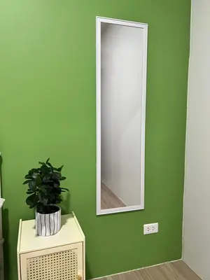 a mirror on a green wall with a potted plant at Casa Dreamer in Taytay