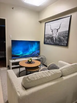 a living room with a couch and a flat screen tv at Aesthetic Cozy Modern Condo Apartment in Manila