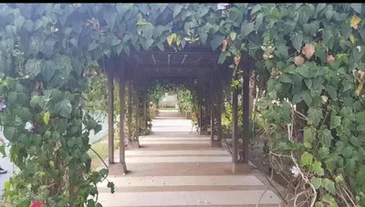 an archway with plants on it in a garden at Apartment in Parañaque in Manila