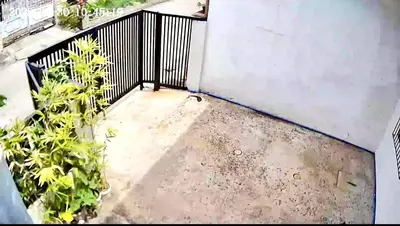an overhead view of a balcony with plants at Santa Cosy Villa suite-B Fast Wi-Fi, Netflix Included Split system Air-con & Hot Shower Close to Enchanted Kingdom in Santa Rosa