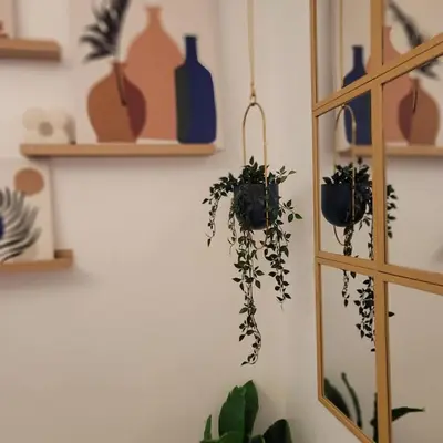 a room with plants on the wall and shelves at Fourth's Jazz Cozy Pad in Manila