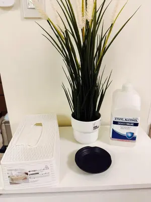 a potted plant sitting next to a bottle of laundry detergent at The Camden Place 2BR Haven Cozy Condo Apartment Unit in Manila