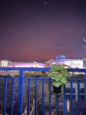 a plant in a pot on a blue fence at Balai Bacasionan - Sea Residences MOA Pasay in Manila