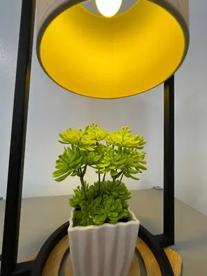 a green plant in a white vase under a lamp at Marvinn's by LVH - 150 Newport Boulevard in Manila