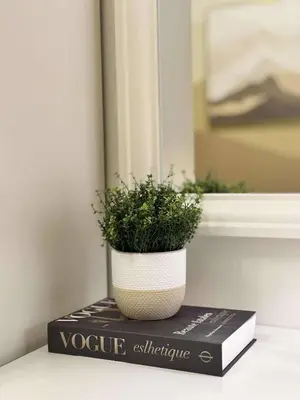 a plant in a pot sitting on top of a book at RED LUXE HAVEN Comfy stay, Netflix and Fast WiFi Ready in Manila