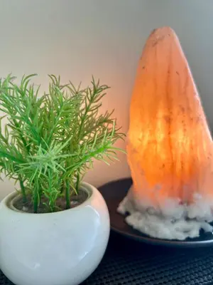 two plants sitting on a plate next to a plant at The View Studio in Urban Deca Tower EDSA in Manila