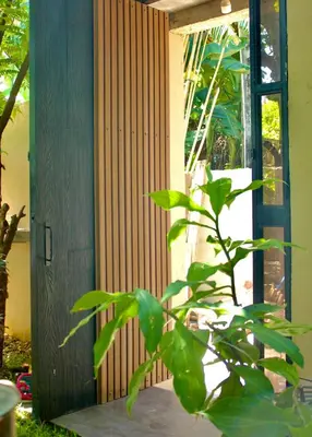 a plant is in front of a door at Kamia Tiny Rest House in Sampong