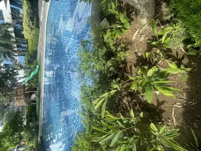 an overhead view of a swimming pool in a garden at Makati City Ph SnowWhite Staycation in Manila