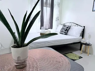 a potted plant sitting on a table in a living room at Cozy Place to Stay in Manila